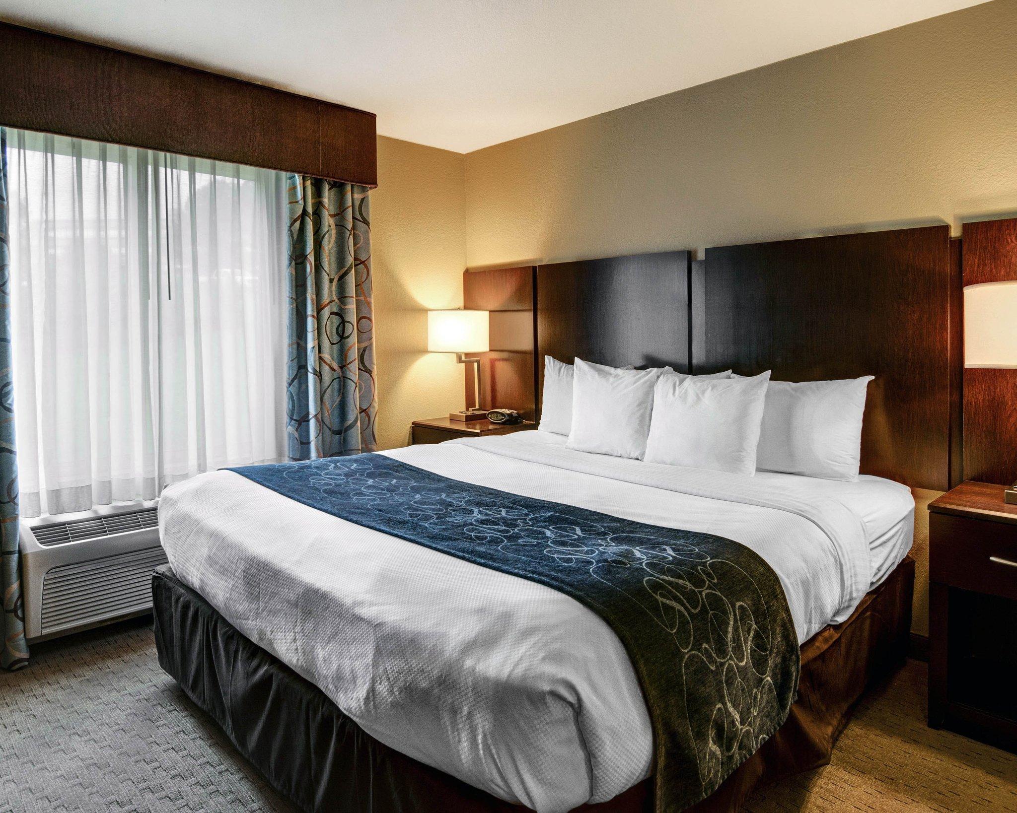 Comfort Suites Near Hot Springs Park Экстерьер фото